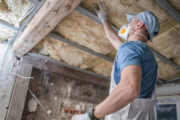 Best Energy Efficiency Solutions in Gladwin, MI
