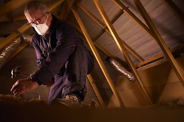 Best Insulation Materials and Products in Gladwin, MI