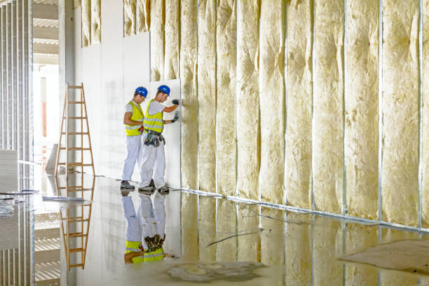 Best Insulation Installation Services in Gladwin, MI